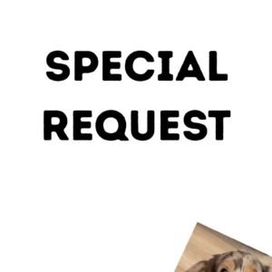 Special Request - Custom Pet Portrait